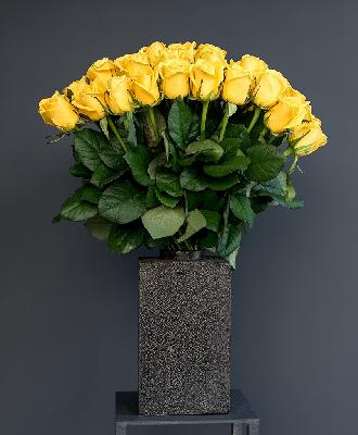 Розы Россия 15 шт - Желтый